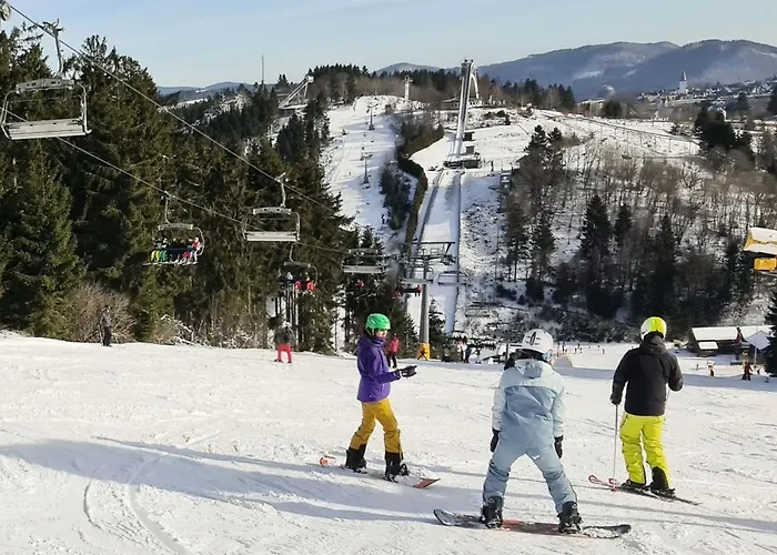 Pistenblume Apartment - Skipiste, Stadtzentrum
