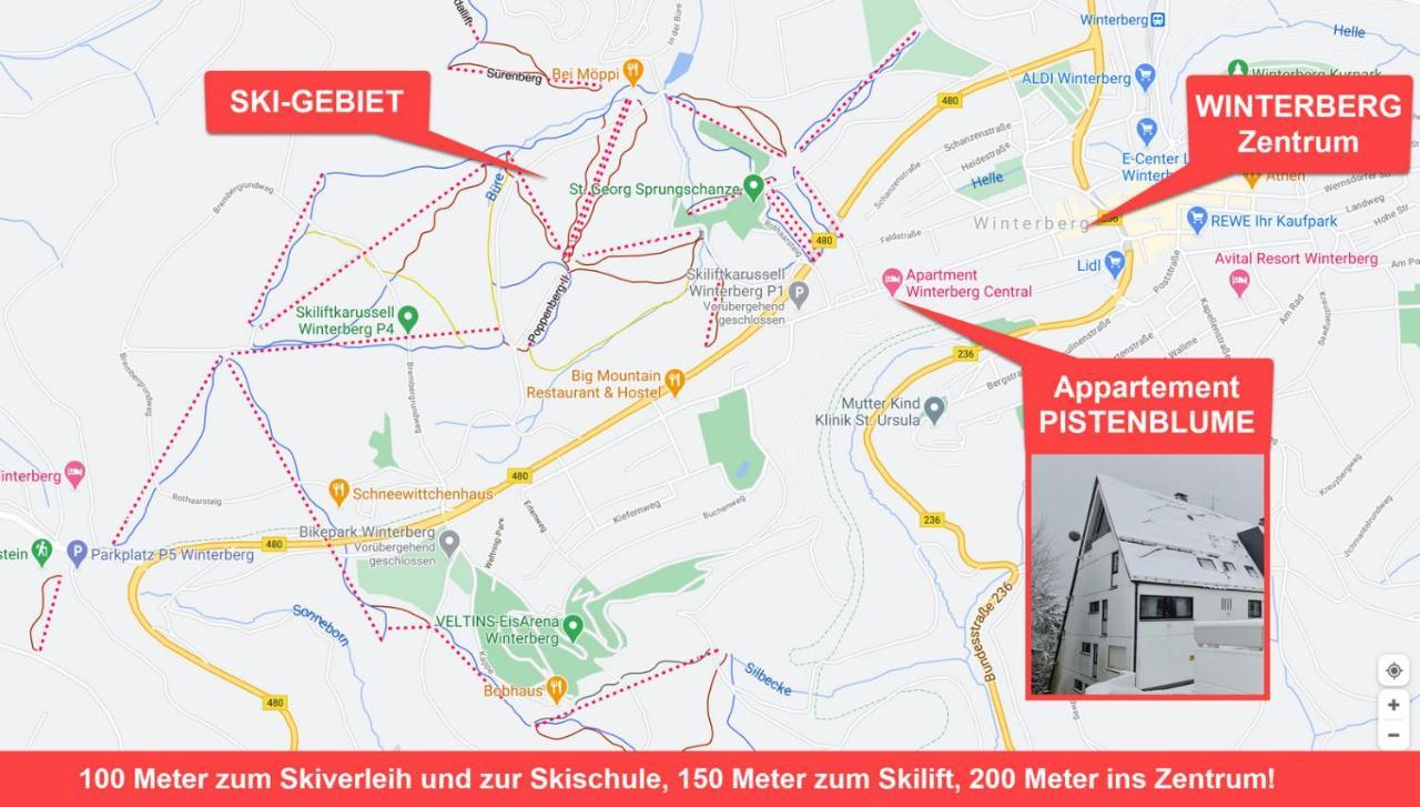 Pistenblume - Skipiste, Stadtzentrum Apartment Winterberg